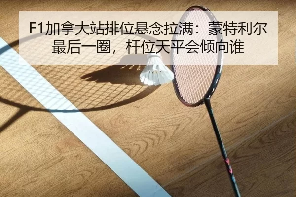 jia-na-da-zhan-pai-wei-xuan-nian-la-man-meng-te-li-er-zui-hou-yi-quan-gan-wei-tian-ping-hui-qing-xiang-shui-2-474.jpg