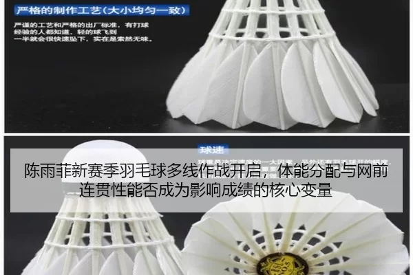 chen-yu-fei-xin-sai-ji-yu-mao-qiu-duo-xian-zuo-zhan-kai-qi-ti-neng-fen-pei-yu-wang-qian-lian-guan-xing-neng-fou-cheng-2-188.jpg